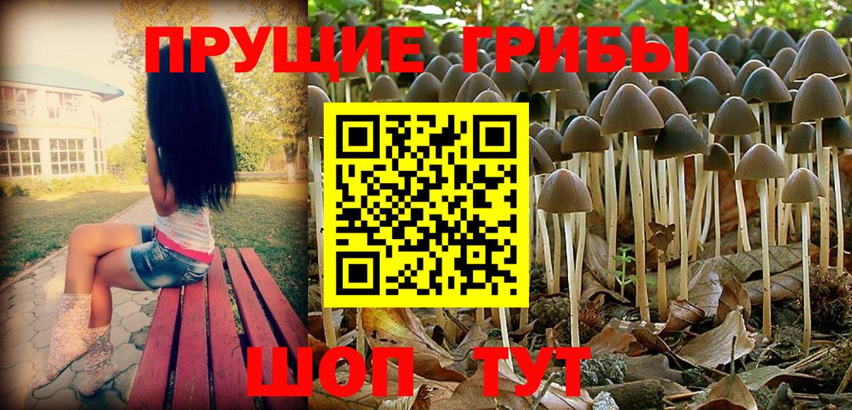 Галлюциногенные грибы GOLDEN TEACHER Санкт-Петербург