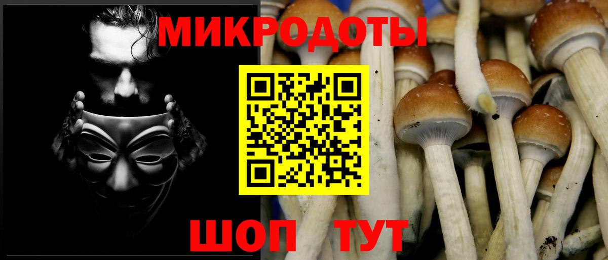 Псилоцибиновые грибы Cubensis  Вход с VPN  Санкт-Петербург  Псилоцибиновые грибы Psilocybine cubensis 